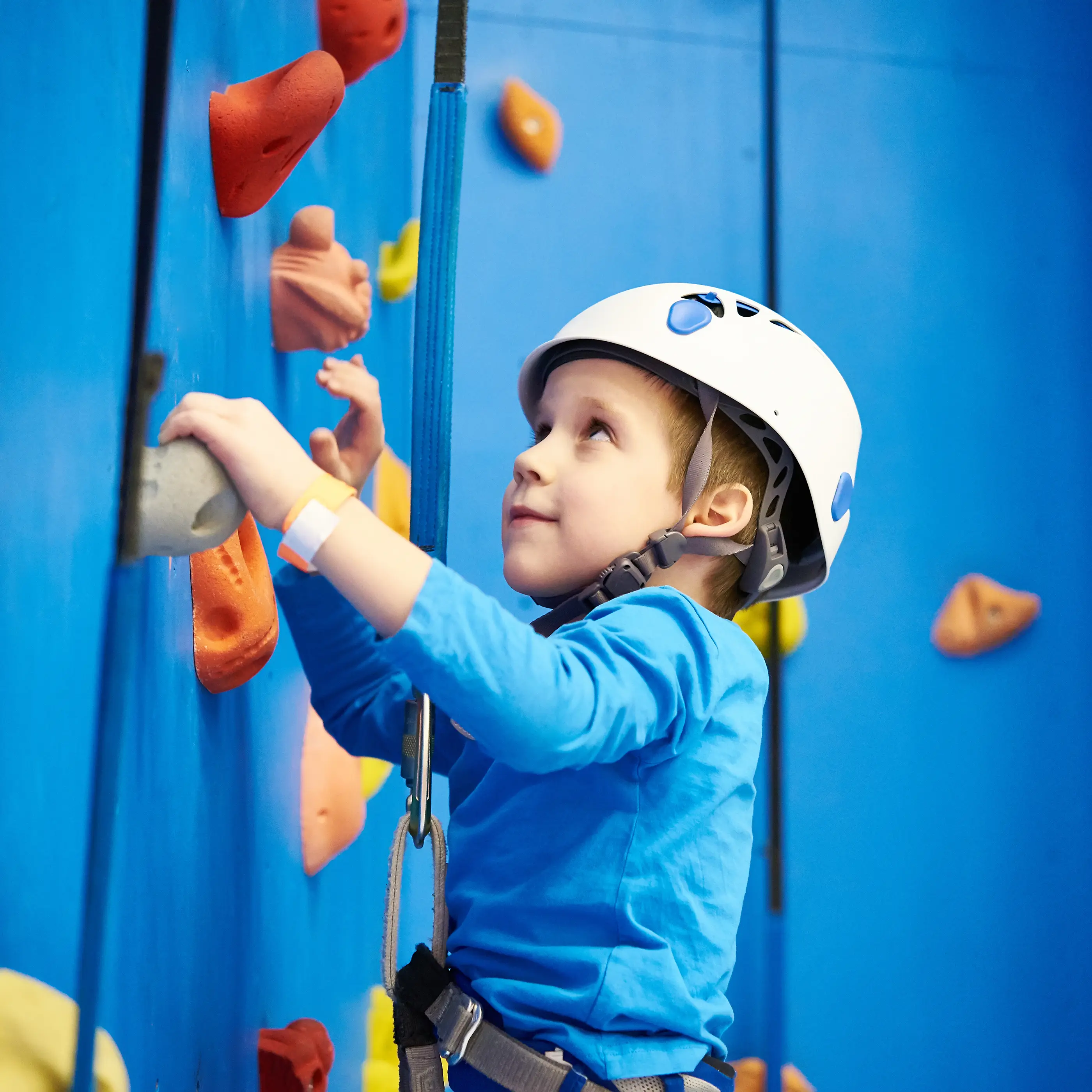 Climbing Wall