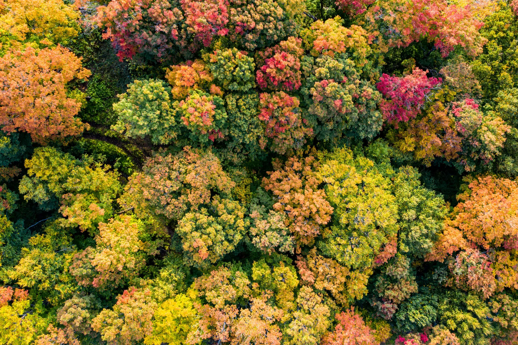 Fall-tastic Getaways