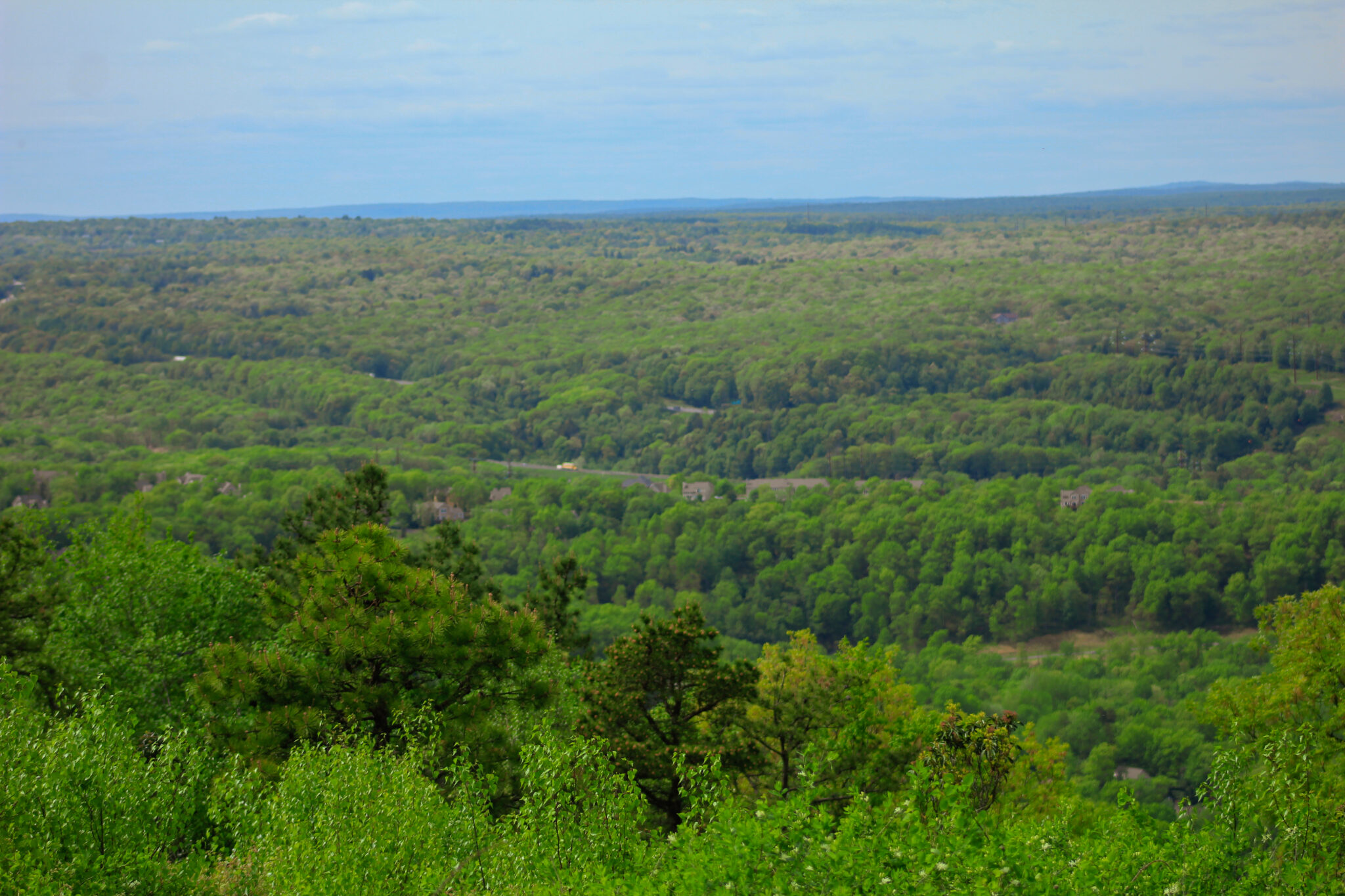 Hiking Trails