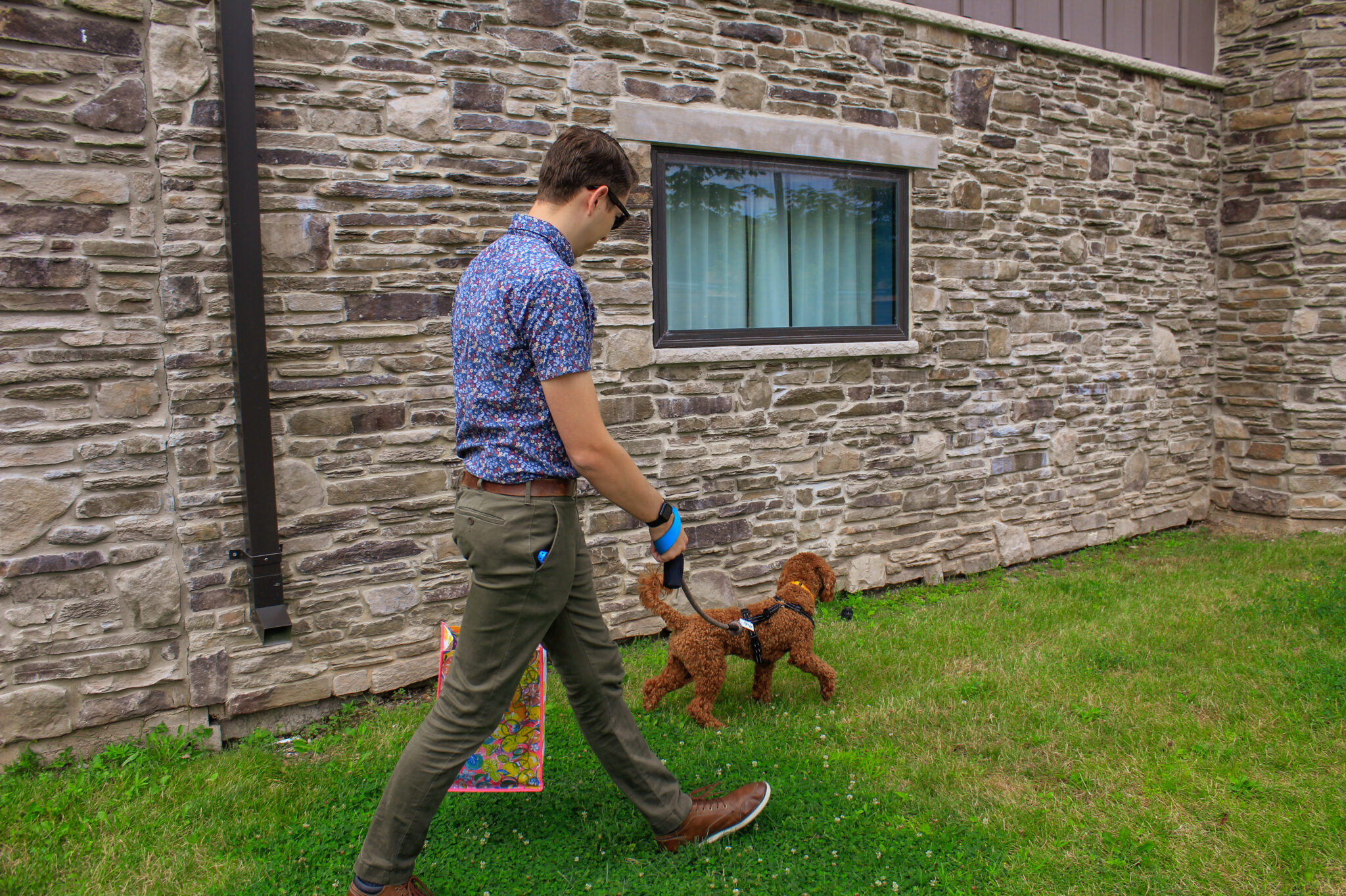 dog friendly areas for potty breaks